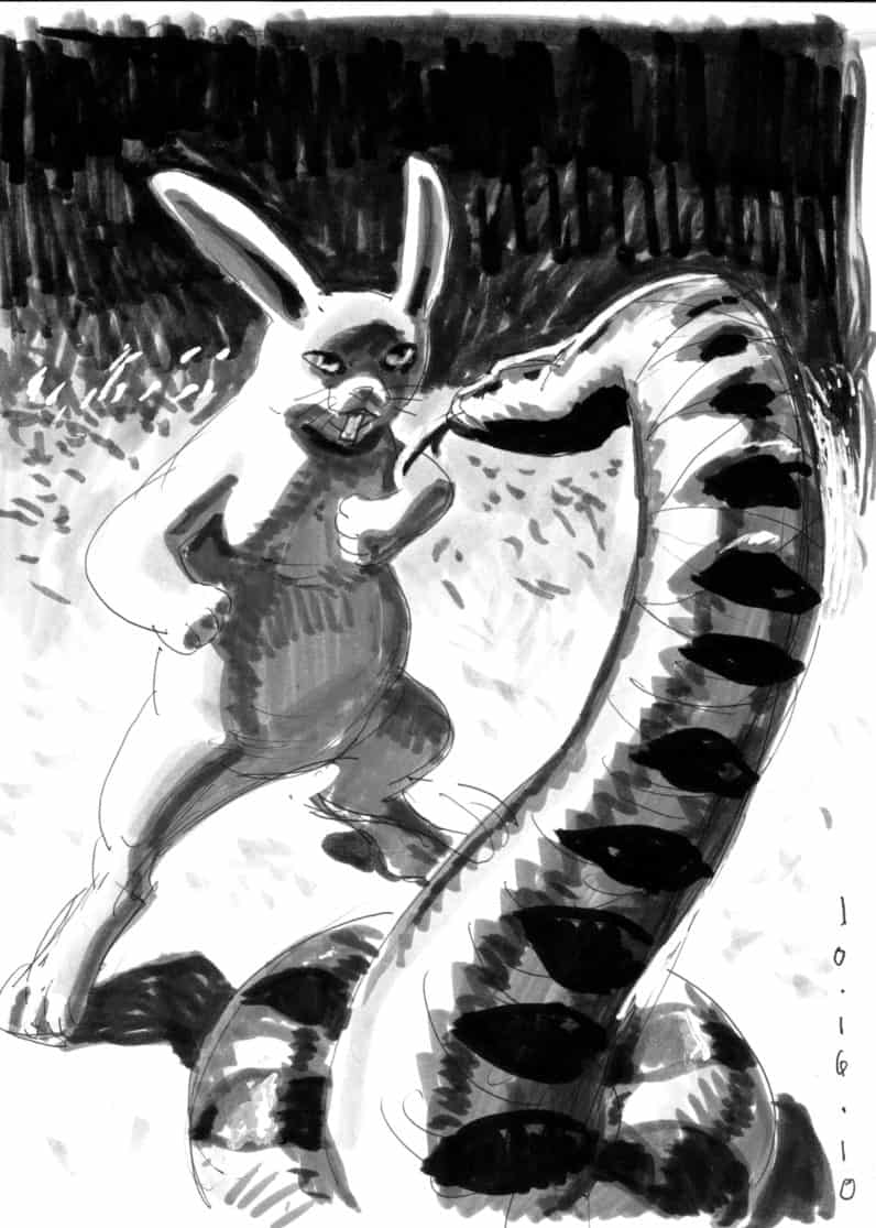 Rabbit versus Snake, ink and wash illustration  by Brad Rader of anthropomorphic rabbit and snake squaring off to fight